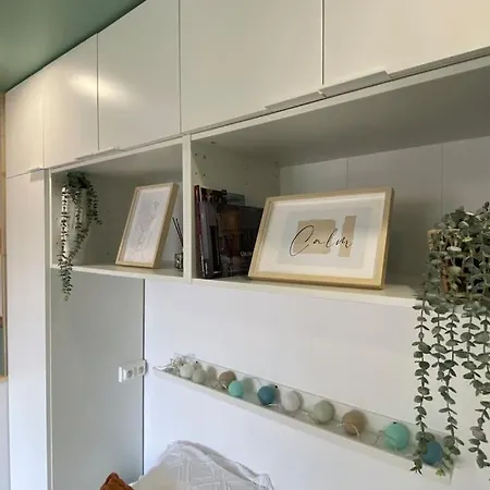 Lison - Renove 2023 Vieux Lille